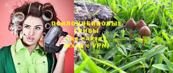 метамфетамин Ельня