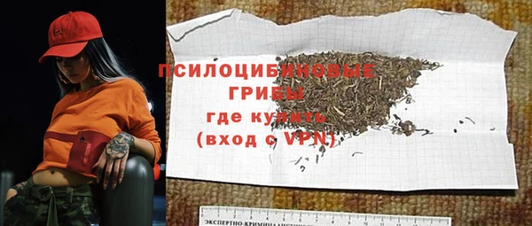 эйфоретик Елизово