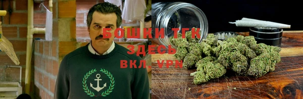метамфетамин Ельня