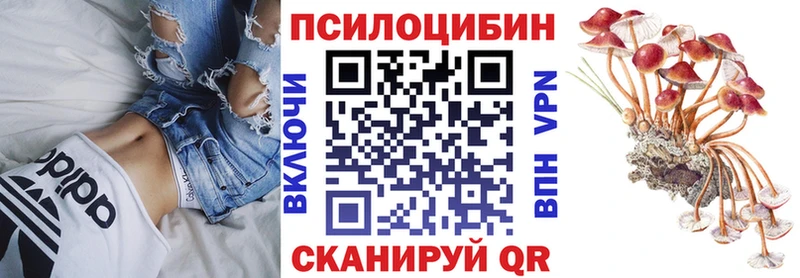 Галлюциногенные грибы ЛСД  Рошаль 